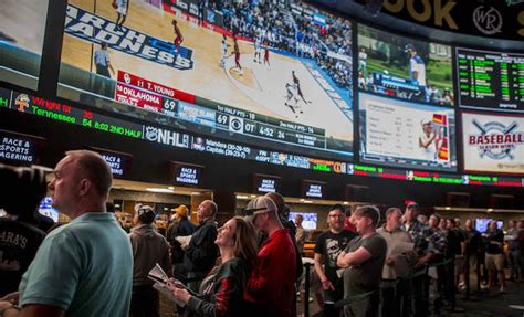 sports betting data feed